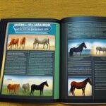 Full color instruction manual depicting horses being turned into glue at the factory
